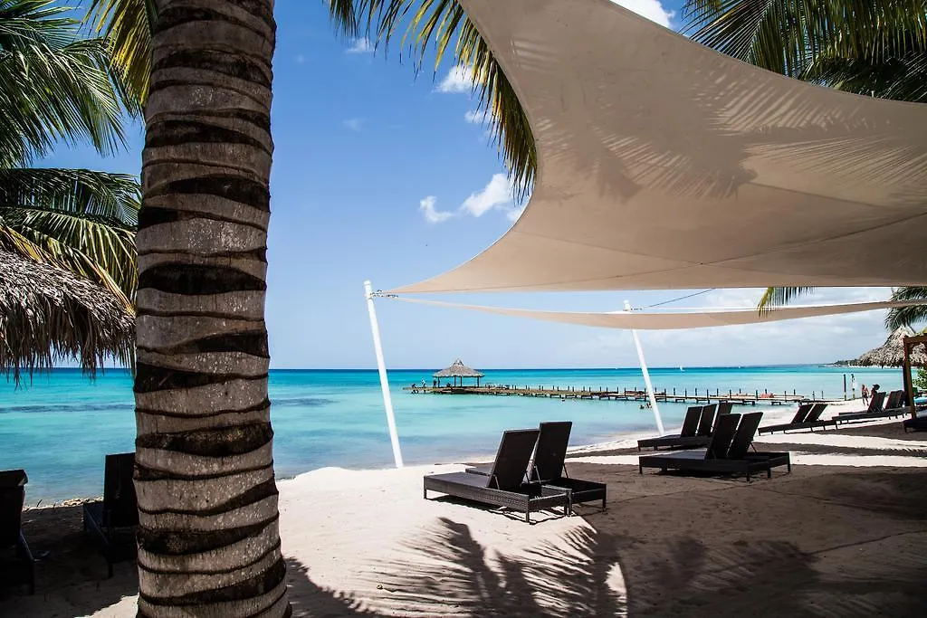 ****  Los Flamencos Aparthotel Beach Club Байяибе Доминиканская Республика